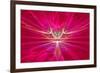 Mysterious Alien Form Magnetic Fields in the Red Sky. Fractal Art Graphics-Artem Volkov-Framed Photographic Print