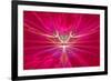 Mysterious Alien Form Magnetic Fields in the Red Sky. Fractal Art Graphics-Artem Volkov-Framed Photographic Print