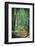 Mysterious Dark Forest near Rzeszow, Poland-mffoto-Framed Photographic Print