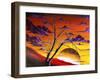 Mysterious Eve-Megan Aroon Duncanson-Framed Art Print