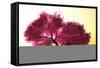 Mysterious Japanese Cherry Blossom Tree Sakura 3D Render-boscorelli-Framed Stretched Canvas