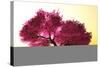 Mysterious Japanese Cherry Blossom Tree Sakura 3D Render-boscorelli-Stretched Canvas