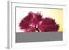 Mysterious Japanese Cherry Blossom Tree Sakura 3D Render-boscorelli-Framed Photographic Print