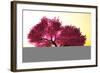 Mysterious Japanese Cherry Blossom Tree Sakura 3D Render-boscorelli-Framed Photographic Print