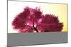 Mysterious Japanese Cherry Blossom Tree Sakura 3D Render-boscorelli-Mounted Photographic Print