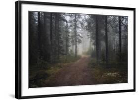 Mysterious Pathway-Andreas Stridsberg-Framed Giclee Print