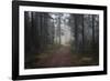 Mysterious Pathway-Andreas Stridsberg-Framed Giclee Print