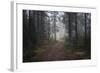 Mysterious Pathway-Andreas Stridsberg-Framed Giclee Print