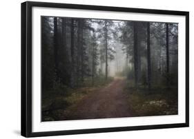 Mysterious Pathway-Andreas Stridsberg-Framed Giclee Print