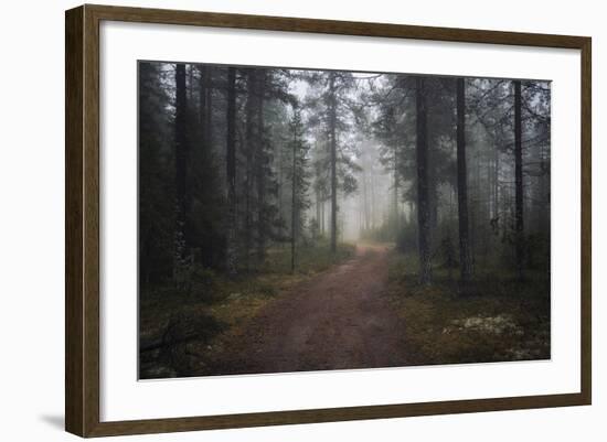 Mysterious Pathway-Andreas Stridsberg-Framed Giclee Print