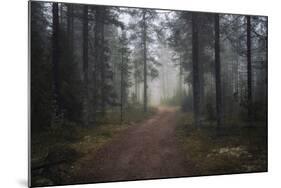 Mysterious Pathway-Andreas Stridsberg-Mounted Giclee Print