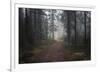 Mysterious Pathway-Andreas Stridsberg-Framed Giclee Print