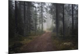 Mysterious Pathway-Andreas Stridsberg-Mounted Giclee Print