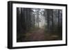 Mysterious Pathway-Andreas Stridsberg-Framed Giclee Print