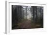 Mysterious Pathway-Andreas Stridsberg-Framed Giclee Print