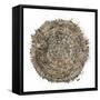 Mysterious Tree Ring-Roberto Gonzalez-Framed Stretched Canvas