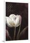 Mysterious Tulip-Rikki Drotar-Framed Giclee Print