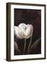 Mysterious Tulip-Rikki Drotar-Framed Giclee Print