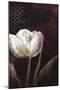 Mysterious Tulip-Rikki Drotar-Mounted Giclee Print