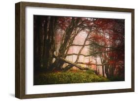 Mysterious Wood-Philippe Sainte-Laudy-Framed Photographic Print