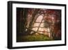 Mysterious Wood-Philippe Sainte-Laudy-Framed Photographic Print