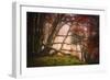 Mysterious Wood-Philippe Sainte-Laudy-Framed Photographic Print