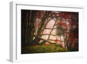 Mysterious Wood-Philippe Sainte-Laudy-Framed Photographic Print