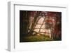 Mysterious Wood-Philippe Sainte-Laudy-Framed Photographic Print