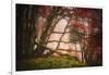 Mysterious Wood-Philippe Sainte-Laudy-Framed Photographic Print