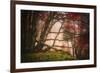 Mysterious Wood-Philippe Sainte-Laudy-Framed Photographic Print