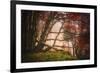 Mysterious Wood-Philippe Sainte-Laudy-Framed Photographic Print