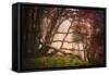 Mysterious Wood-Philippe Sainte-Laudy-Framed Stretched Canvas