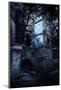 Mystery Medieval Piratical Castle in Forest at Night-Nomad Soul-Mounted Photographic Print