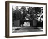 Mystery of Life-null-Framed Photographic Print