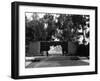 Mystery of Life-null-Framed Photographic Print