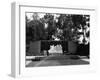 Mystery of Life-null-Framed Photographic Print