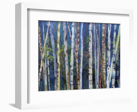 Mystery of Trees-Birches-Sharon Pitts-Framed Giclee Print