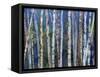 Mystery of Trees-Birches-Sharon Pitts-Framed Stretched Canvas