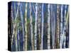 Mystery of Trees-Birches-Sharon Pitts-Stretched Canvas