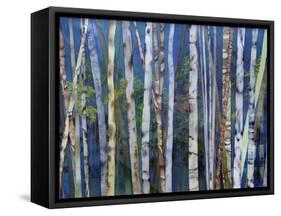 Mystery of Trees-Birches-Sharon Pitts-Framed Stretched Canvas