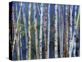 Mystery of Trees-Birches-Sharon Pitts-Stretched Canvas