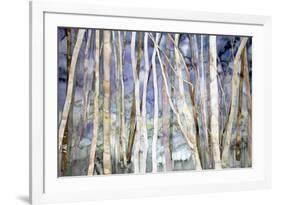 Mystery of Trees II-Sharon Pitts-Framed Giclee Print