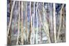 Mystery of Trees II-Sharon Pitts-Mounted Giclee Print