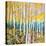 Mystery of Trees V-Sharon Pitts-Stretched Canvas