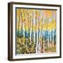 Mystery of Trees V-Sharon Pitts-Framed Giclee Print