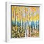 Mystery of Trees V-Sharon Pitts-Framed Giclee Print