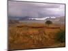 Mystery Valley with Approaching Storm, Arizona, USA-Joanne Wells-Mounted Photographic Print