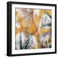 Mystic 4-John Butler-Framed Giclee Print