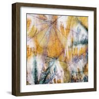 Mystic 4-John Butler-Framed Giclee Print