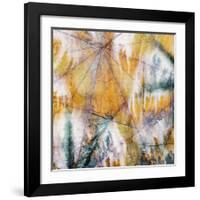 Mystic 4-John Butler-Framed Giclee Print